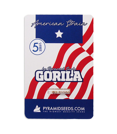 Семена сорта Gorila fem (Pyramid Seeds)