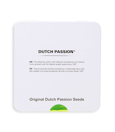 Семена сорта Sugar Bomb Punch fem (Dutch Passion)