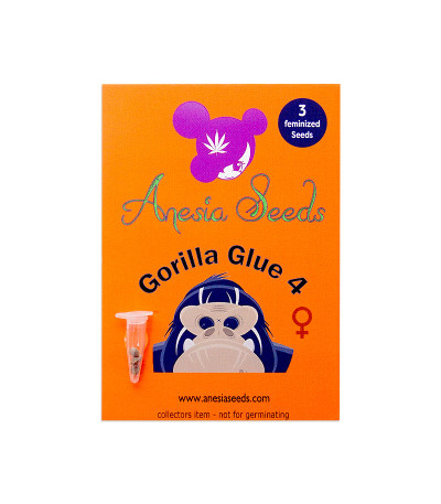 Семена сорта Gorilla Glue #4 fem (Anesia Seeds)