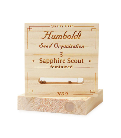 Семена сорта Sapphire Scout fem (Humboldt Seeds)