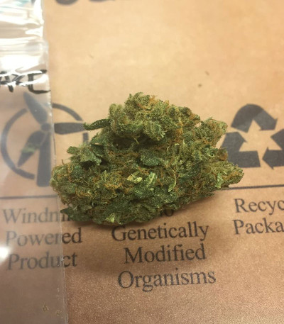 Семена сорта Zombie Haze fem (Sumo Seeds)