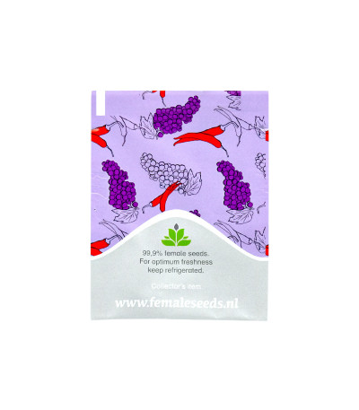 Семена марихуаны Purple Maroc в оригинальной упаковке