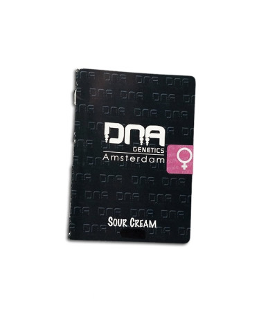 Семена сорта Sour Cream fem (DNA Genetics)