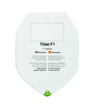 Семена конопли сорта Titan F1 Auto fem