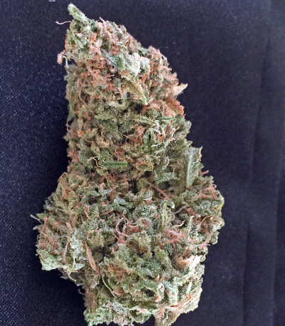 Семена сорта Afgooey fem (Strain Hunters)