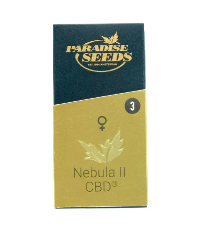 Семена сорта Nebula II CBD fem (Paradise Seeds)
