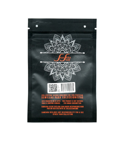 Семена сорта Sweet Black Angel fem (Samsara Seeds)