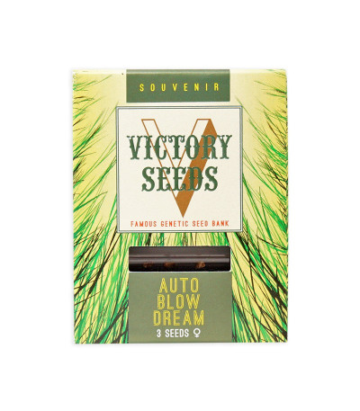 Семена сорта Auto Blow Dream fem (Victory Seeds)