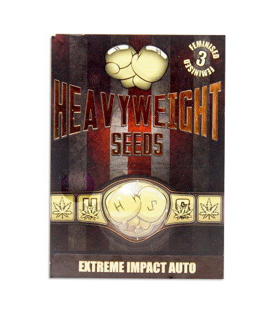 Семена сорта Extreme Impact Auto fem (Heavyweight Seeds)