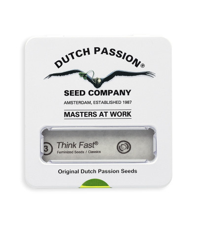 Семена сорта Think Fast fem (Dutch Passion)