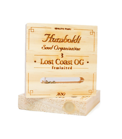 Семена сорта Lost Coast OG fem (Humboldt Seeds)
