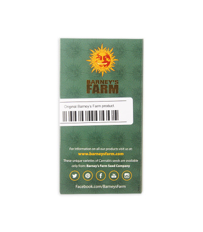 Семена сорта Glookies fem (Barney's Farm)