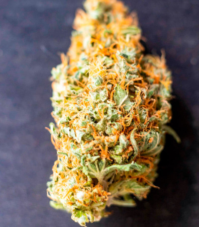 Семена сорта Leisure Zoot Larry fem (Dr. Krippling Seeds)