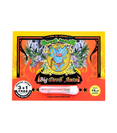 Семена сорта Big Devil Auto fem (Sweet Seeds)