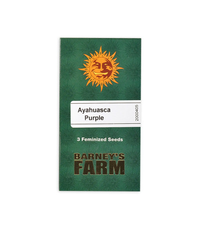 Семена сорта Ayahuasca Purple fem