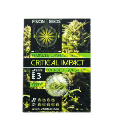 Семена сорта Critical Impact fem (Vision Seeds)