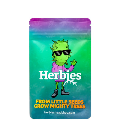 Семена сорта Big Bud Auto fem (Herbies Seeds)