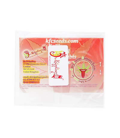 Семена сорта Mango Mist Shake fem (KFC Seeds)