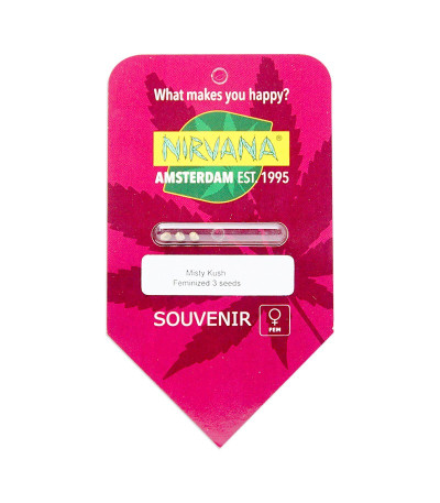 Семена сорта Misty Kush fem