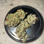 lemon-cherry-gelato-fem-barneys-farm.jpg