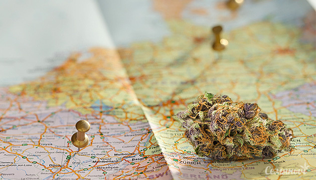 Страны где растет лучшая конопля